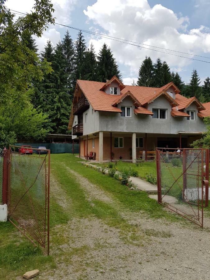 Cabana Merișor Hotel Poiana Marului  Bagian luar foto
